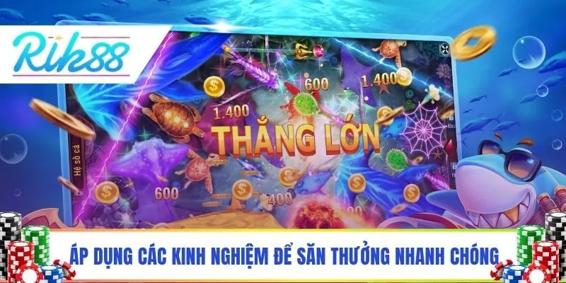 Áp dụng ngay các kinh nghiệm để săn thưởng nhanh chóng